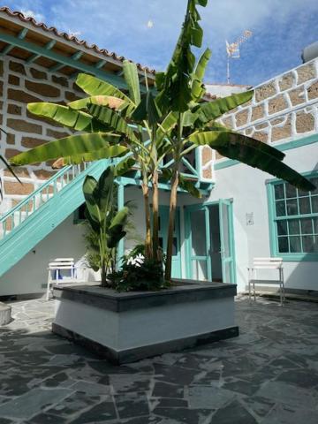 Hacienda De Las Indias, Cali Granadilla De Abona Esterno foto