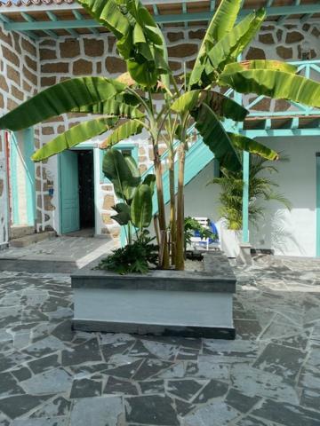 Hacienda De Las Indias, Cali Granadilla De Abona Esterno foto